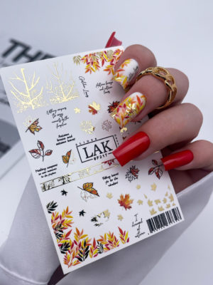 Слайдер-дизайн LAK NAILS #F217
